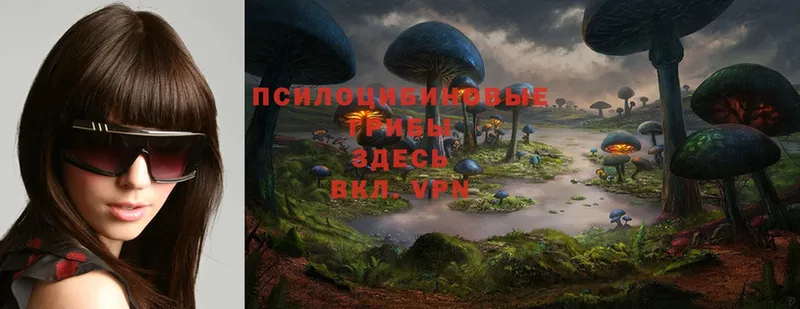 OMG tor  Ладушкин  Псилоцибиновые грибы Psilocybe  купить закладку 